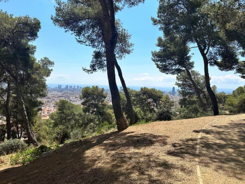 Parc del Guinardò - photo taken from a beautiful viewpoint with pine trees and views over the see and the Barcelona skyline