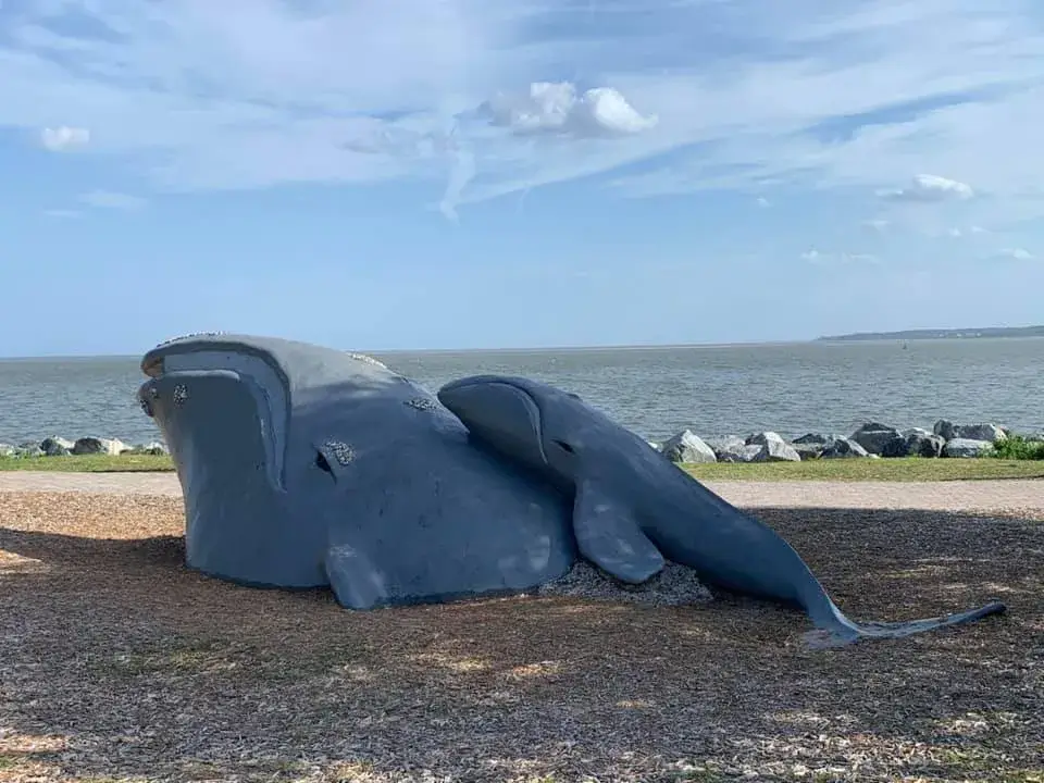 Wally the Whale, St. Simons Island, Georgia, US